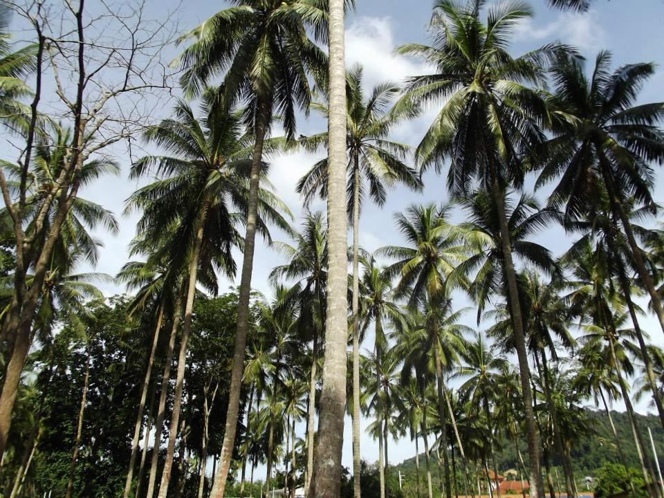 Arcadian Resort Ao Nang المظهر الخارجي الصورة